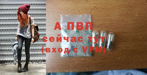 соль ск Елабуга