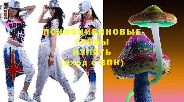 эйфоретик Ельня