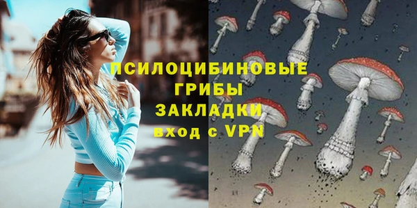 соль ск Елабуга
