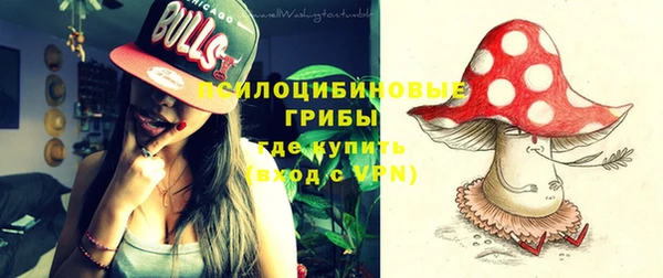 эйфоретик Ельня