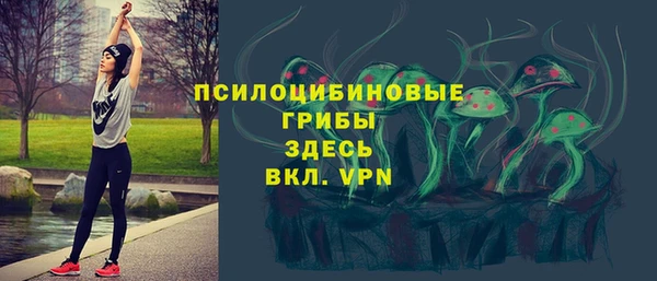 эйфоретик Ельня
