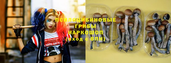 эйфоретик Ельня